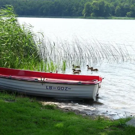 Traumurlaub Mit Hund Am By Interhome Ostrowiec (Mysliborz)